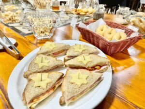 Cedro Hotel - Nova_Crixás (17)